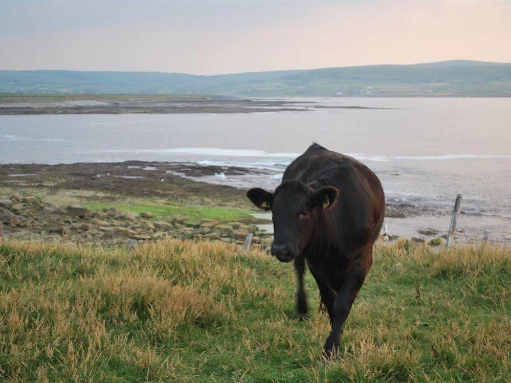 Creevagh Heights B&B Killala Exteriér fotografie